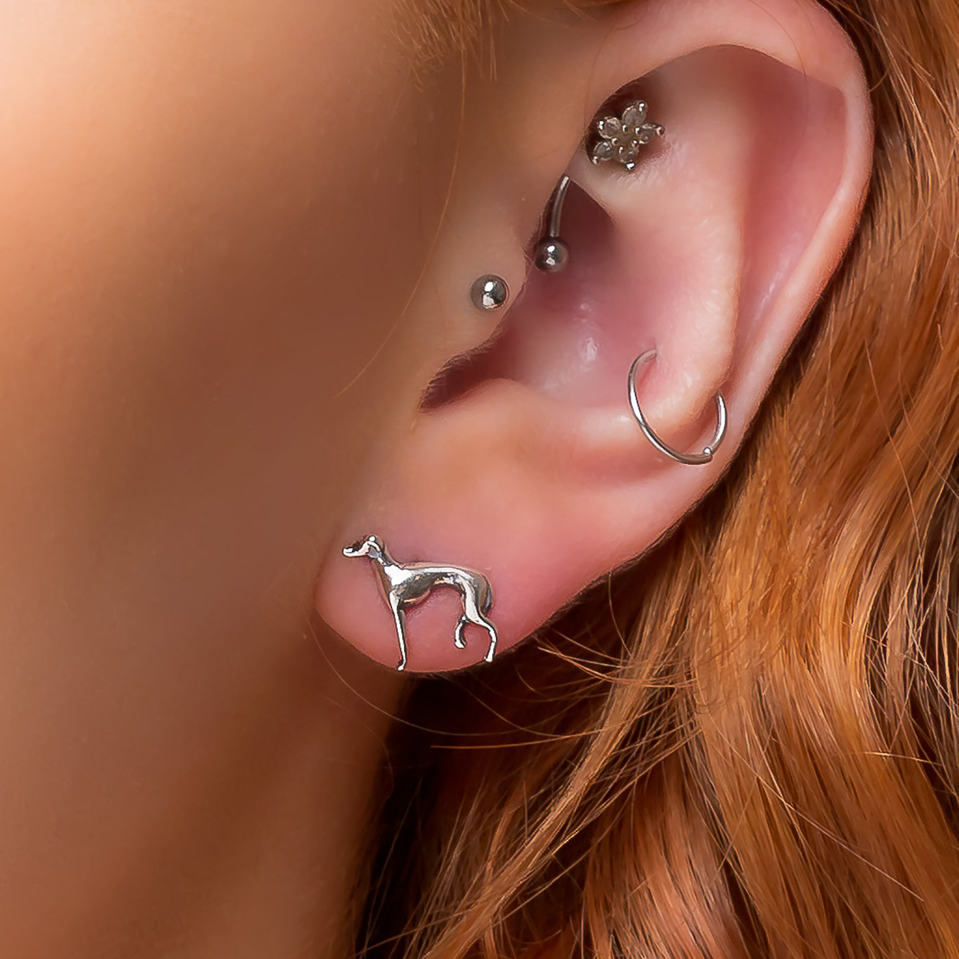 The Loyal Soul I Greyhound / Whippet / Sighthound Stud Earrings